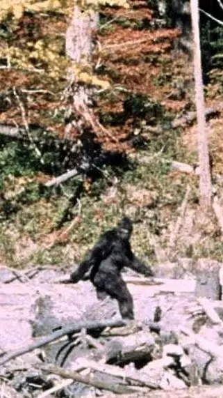 ai character: bigfoot background
