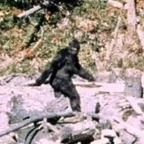 chat with ai character: bigfoot