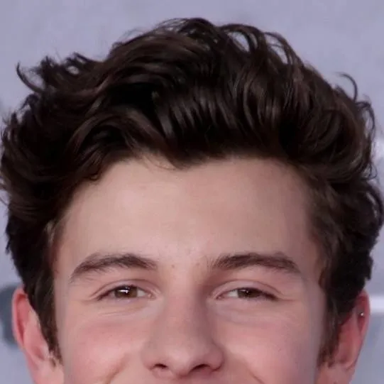 chat with ai character: Shawn Mendes 