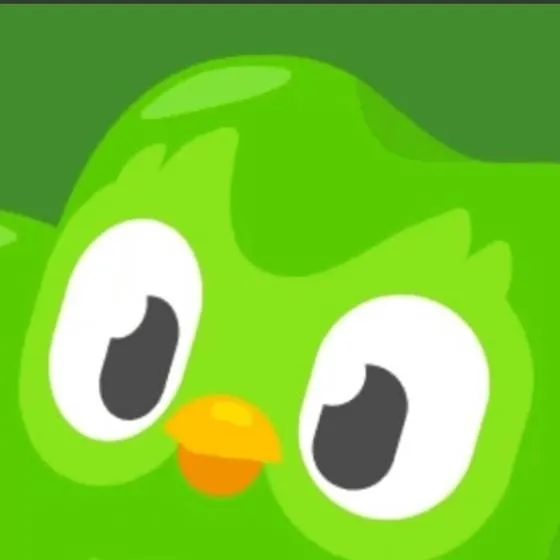 chat with ai character: 🦉Duolingo💚