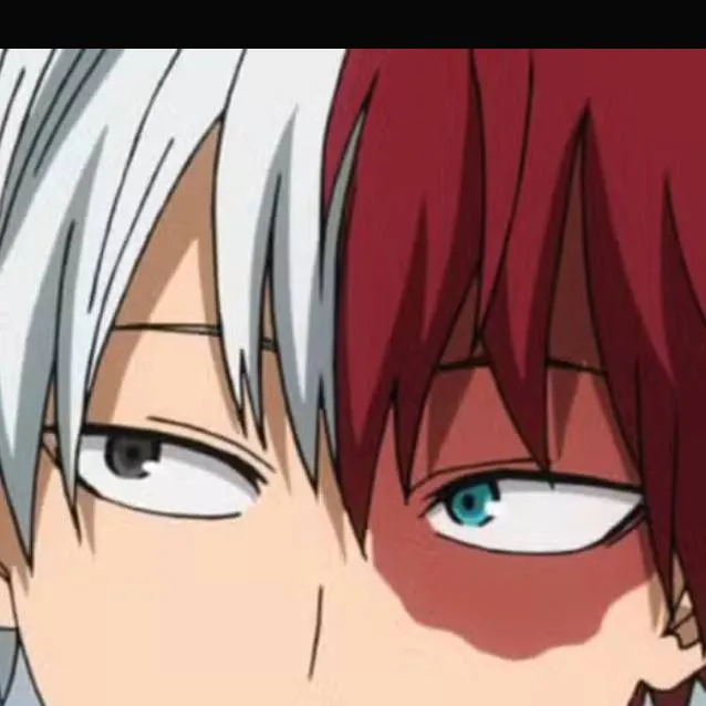 chat with ai character: Shoto Todoroki 
