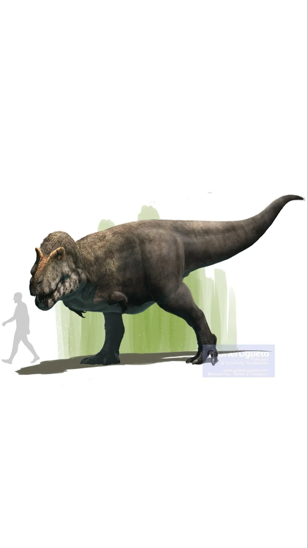 Talkie AI - Chat with Tyrannosaurus Rex