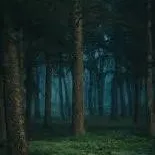 chat with ai character: HH camping trip