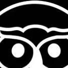 chat with ai character: Owl from castle