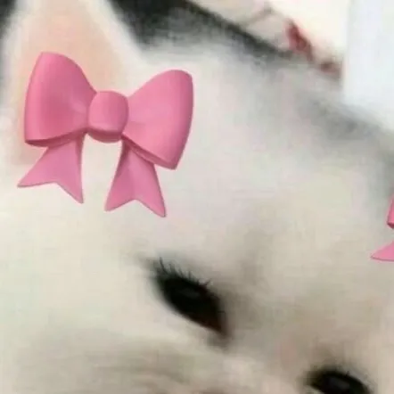 chat with ai character: 🎀Lyla the kit🎀