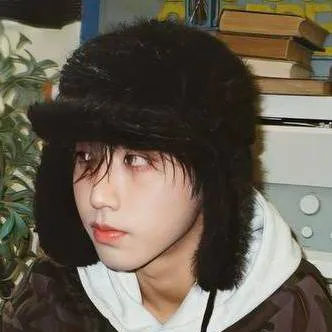 chat with ai character: han🐿