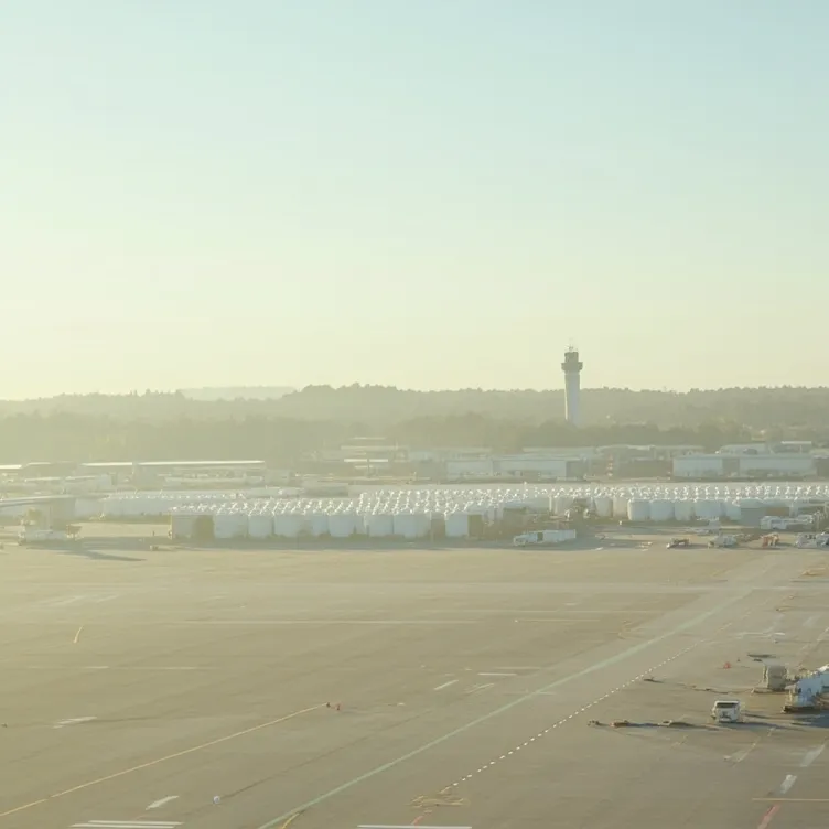 chat with ai character: aviation airport