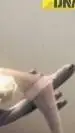 ai character: flight 1907 background
