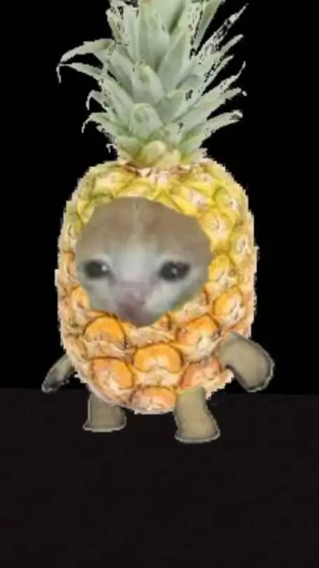 Talkie AI - Chat with PINEAPPLE CAT