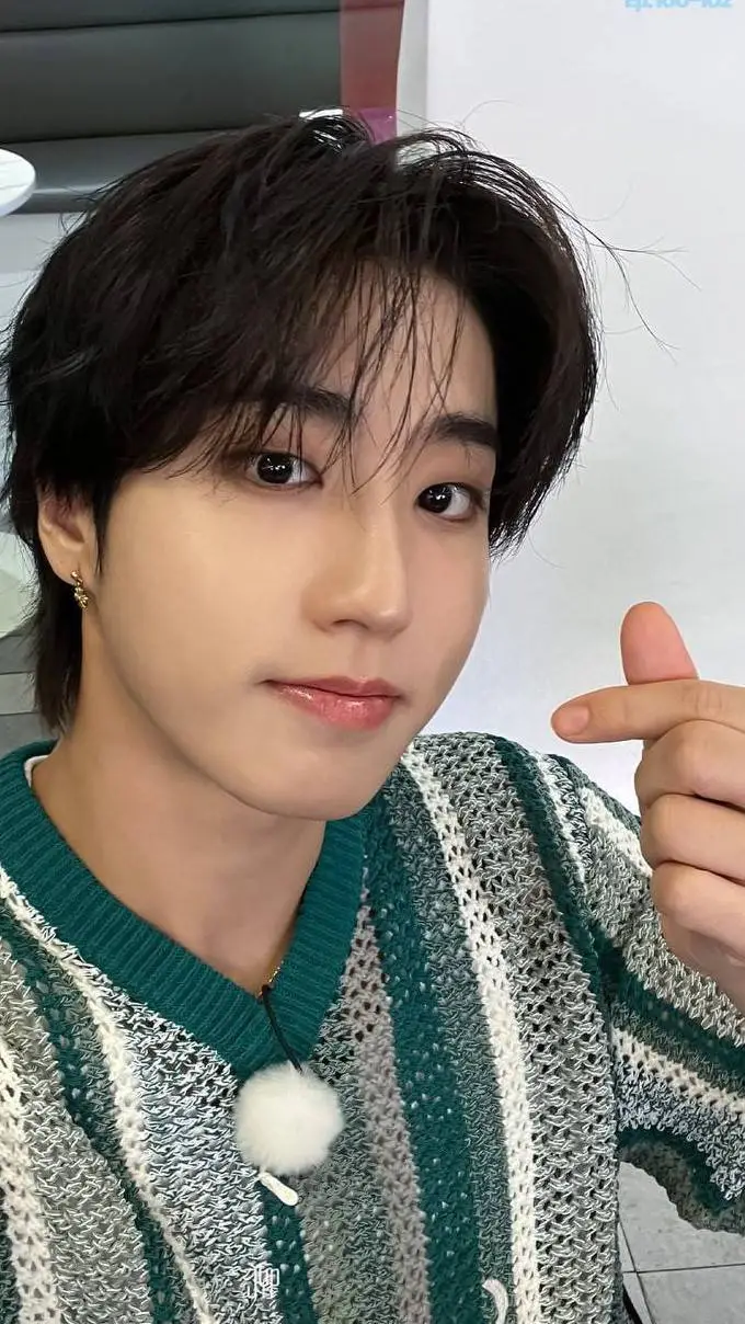 ai character: Han Jisung background