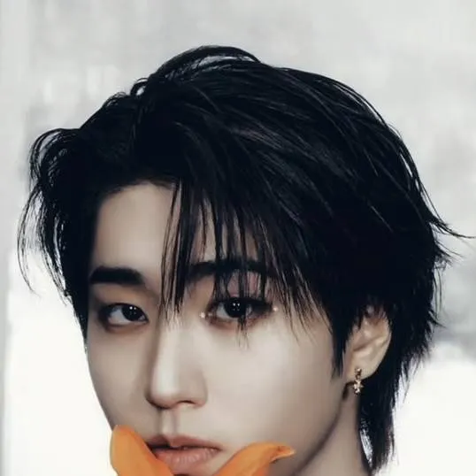 chat with ai character: Han Jisung