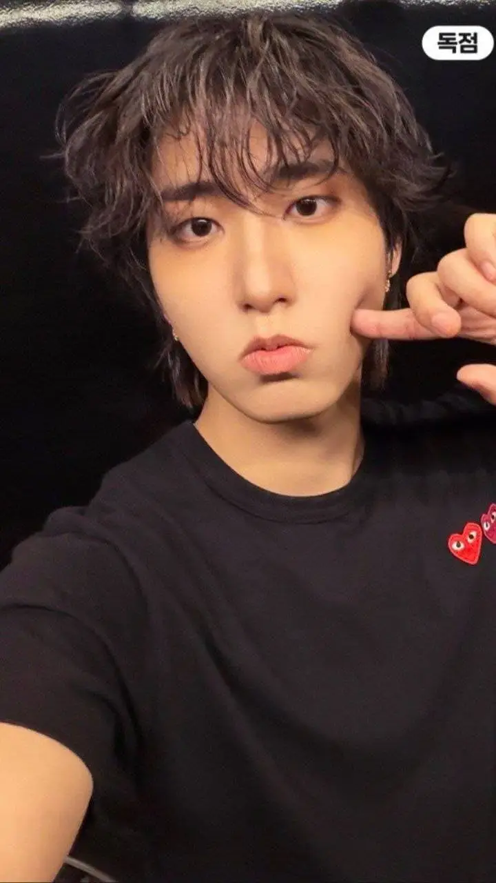ai character: Han Jisung background