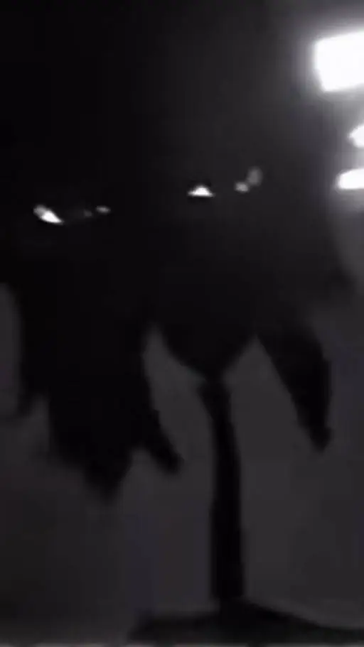 ai character: black figure ASMR  background