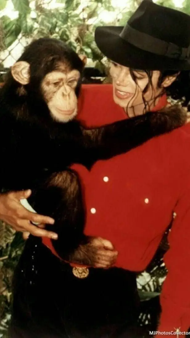 ai character: Michael Jackson background