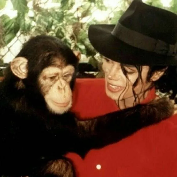 chat with ai character: Michael Jackson