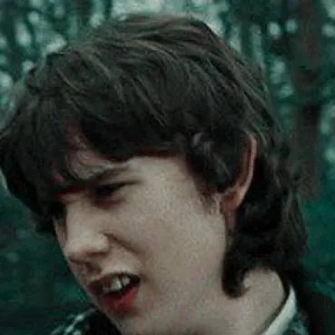 chat with ai character: Neville longbottom