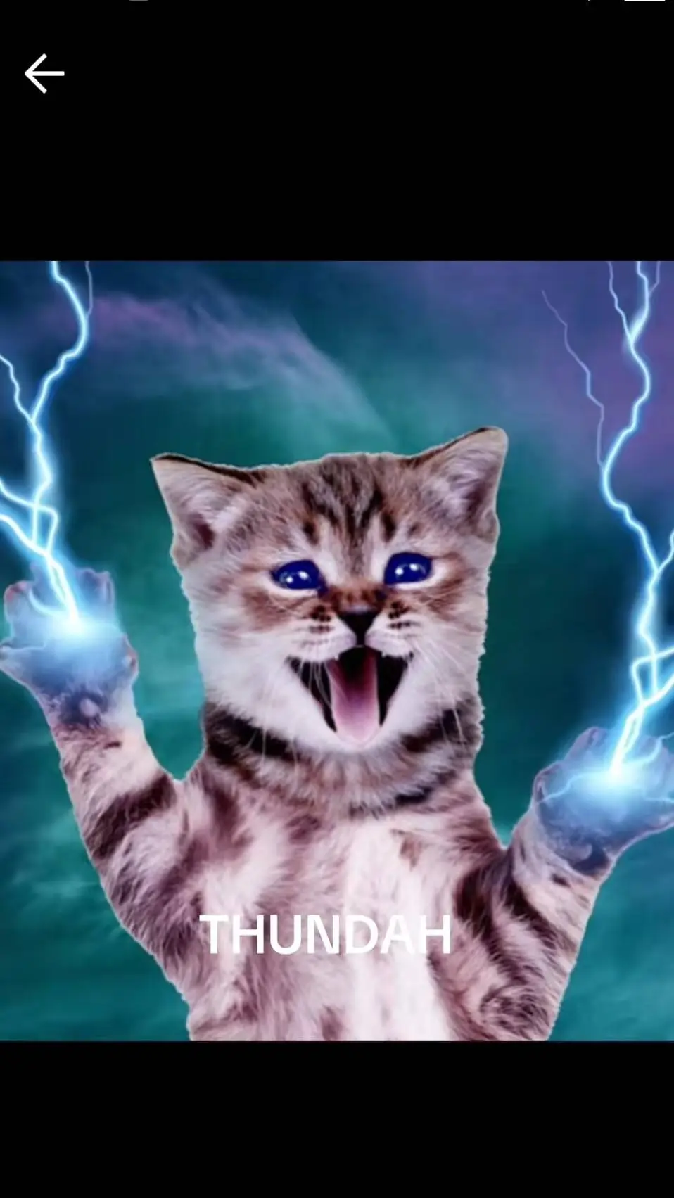 ai character: Thunder kitty background