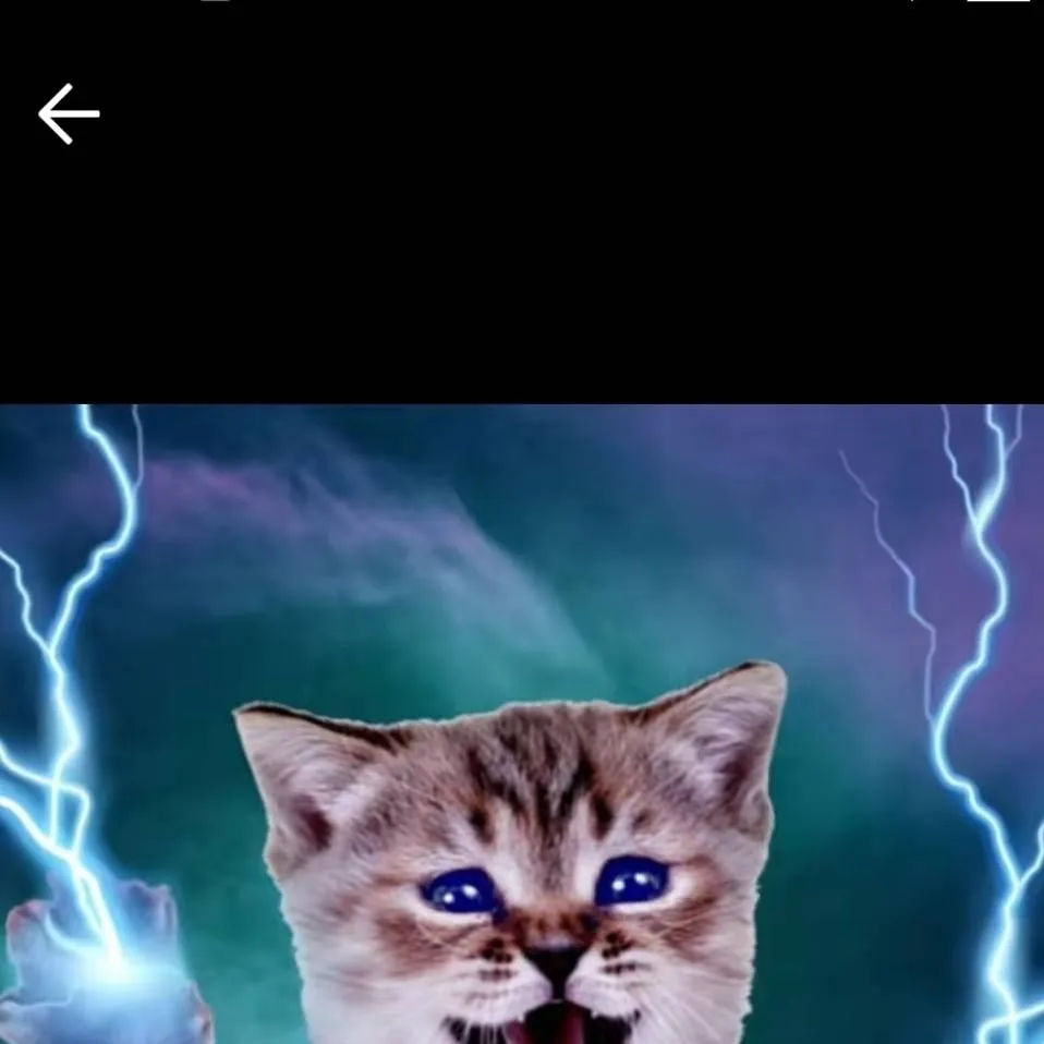 chat with ai character: Thunder kitty