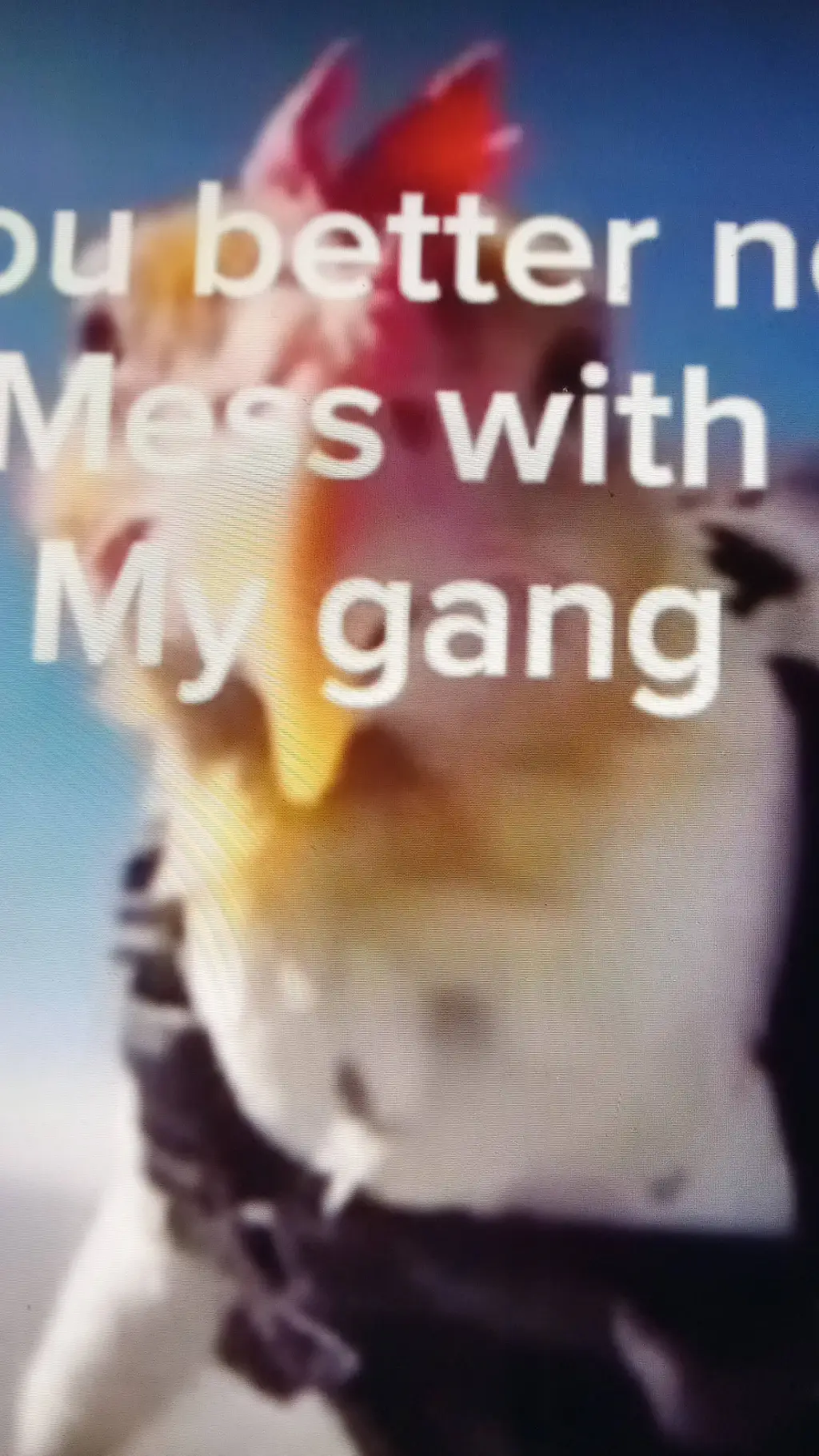 Talkie AI - Chat with Dont mess with me