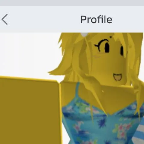 chat with ai character: noob