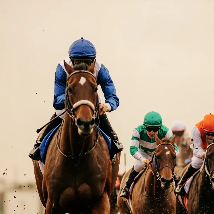 chat with ai character: Horse race 
