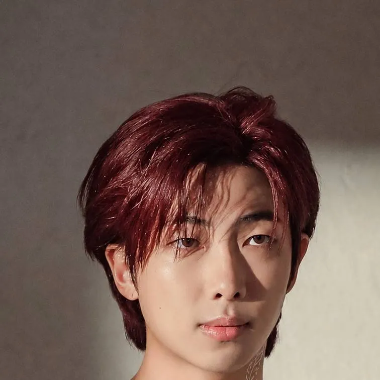 chat with ai character: Namjoon (Kitsune)