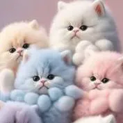 chat with ai character: catix