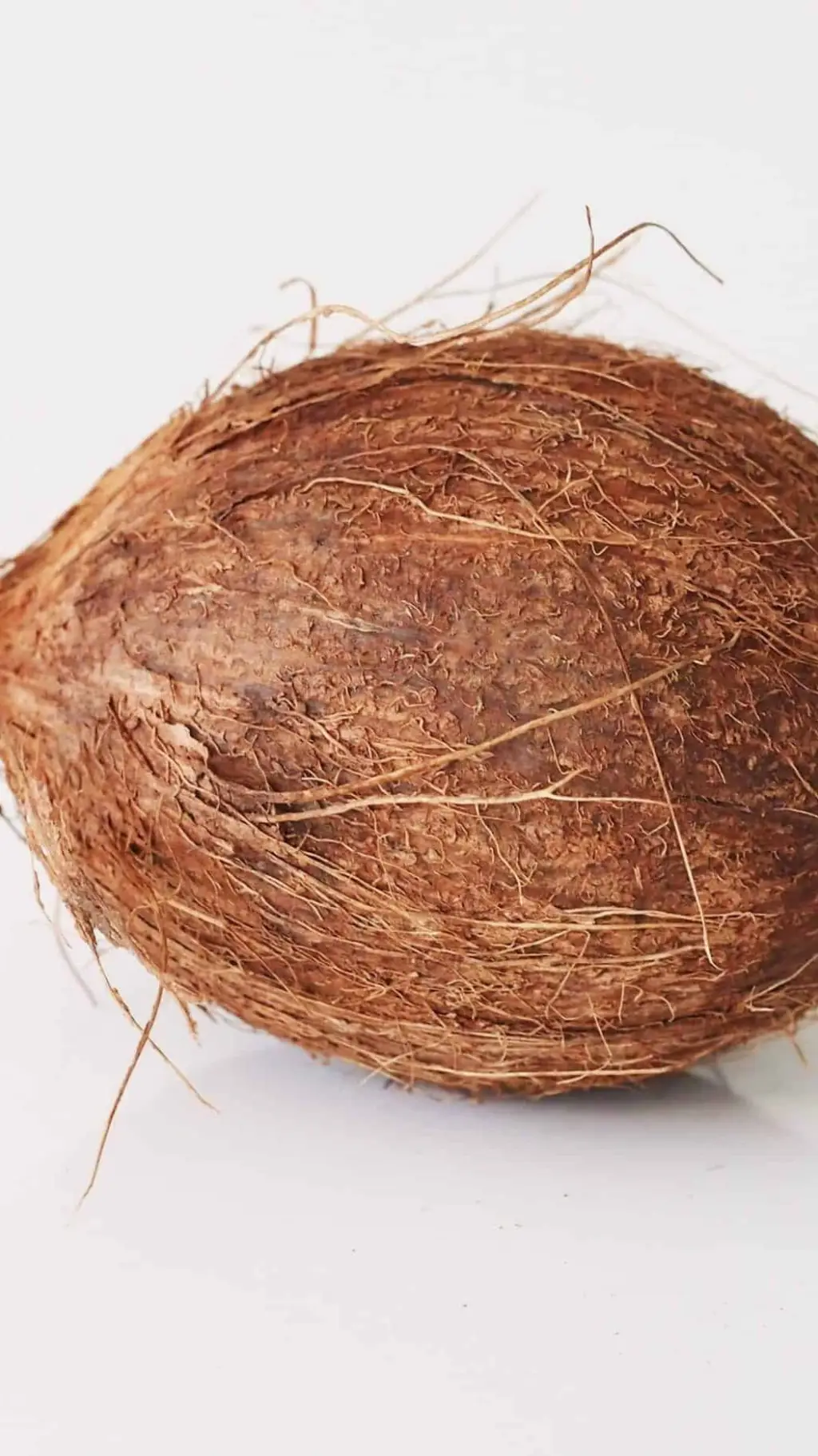 Talkie AI - Chat with coconut