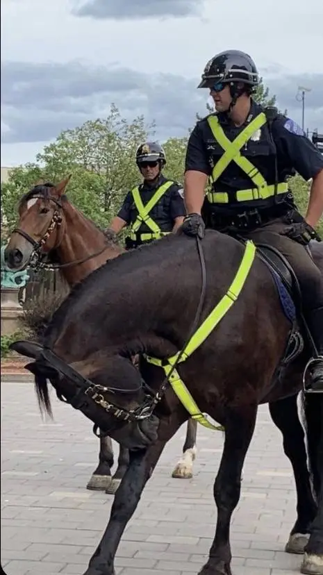 ai character: Police a cheval 🐴 background