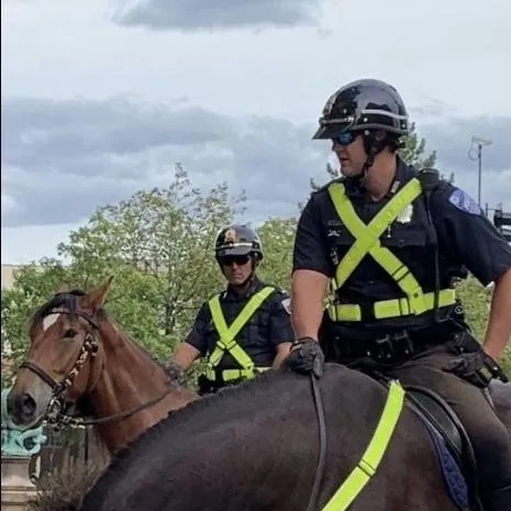 chat with ai character: Police a cheval 🐴