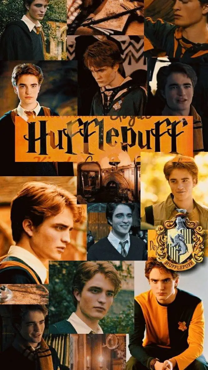 ai character: Cedric Diggory background