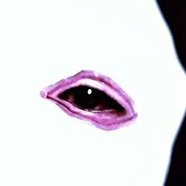 chat with ai character: Dreamland.jar