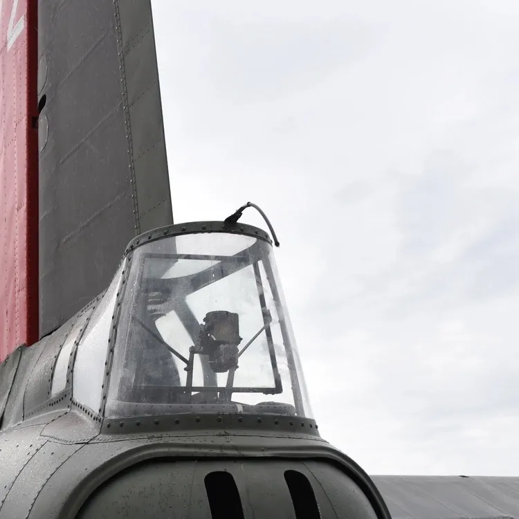 chat with ai character: B-17 tail gunner