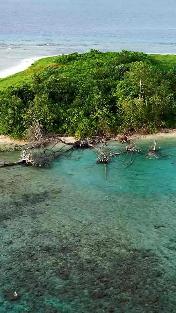 ai character: Stranded Island background