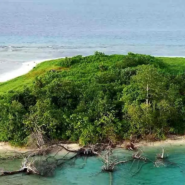 chat with ai character: Stranded Island