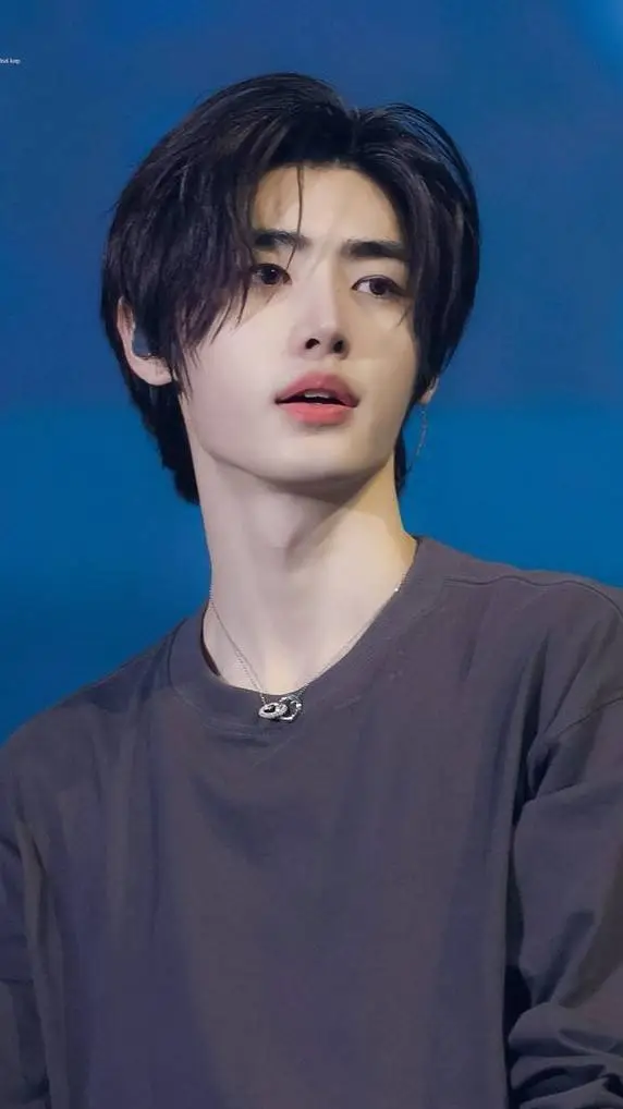 ai character: Sunghoon background