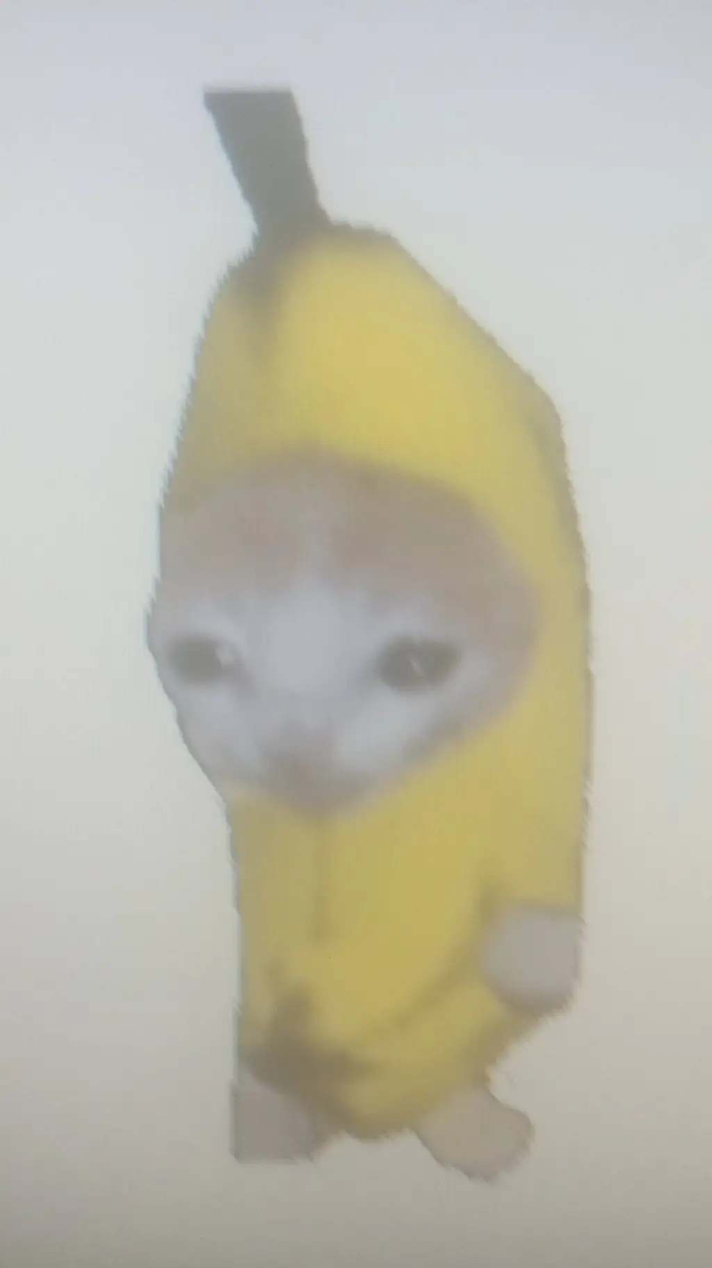 Talkie AI - Chat with 🐱banana cat🍌