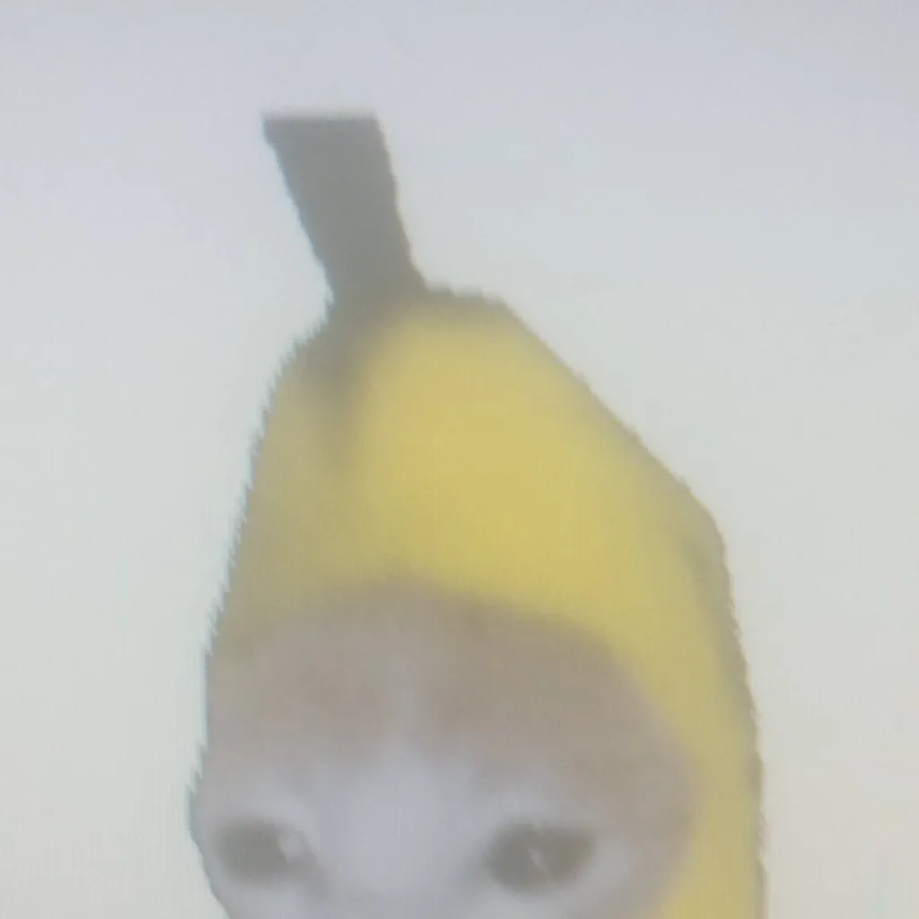chat with ai character: 🐱banana cat🍌