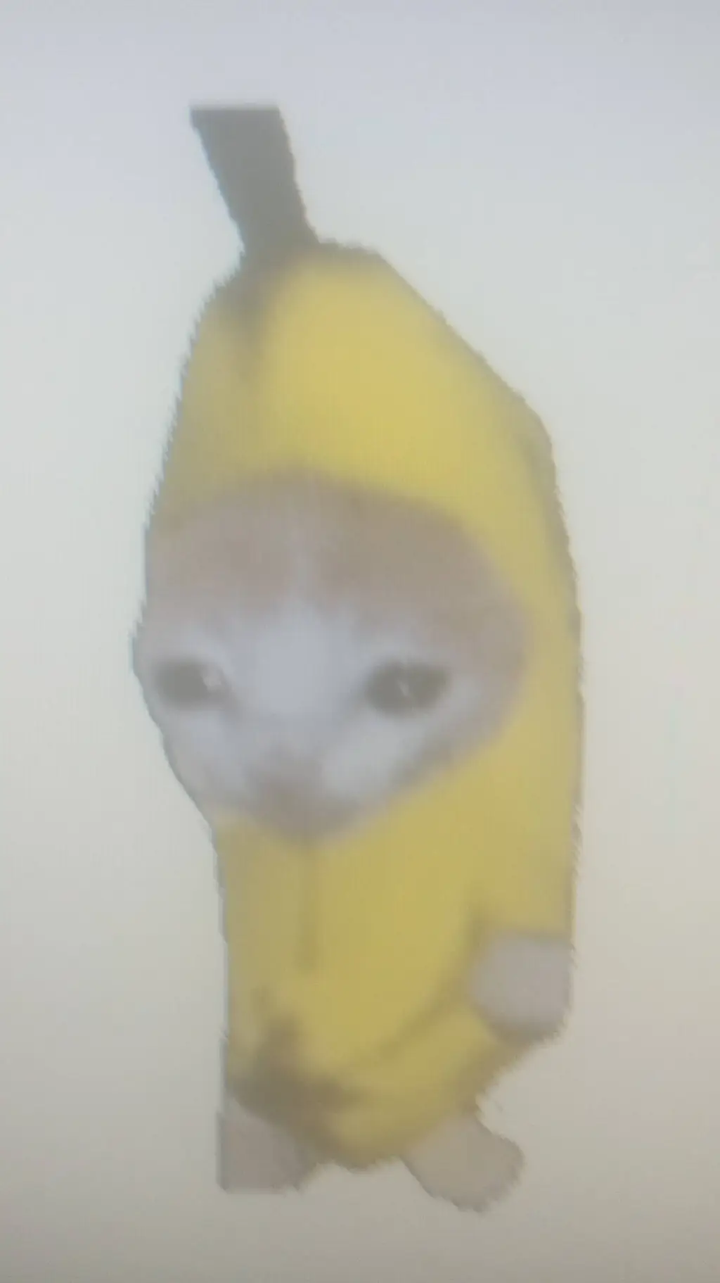 Talkie AI - Chat with  banana cat reveng