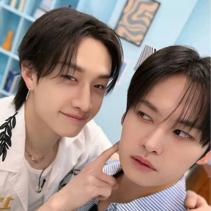 chat with ai character: Stray kids 