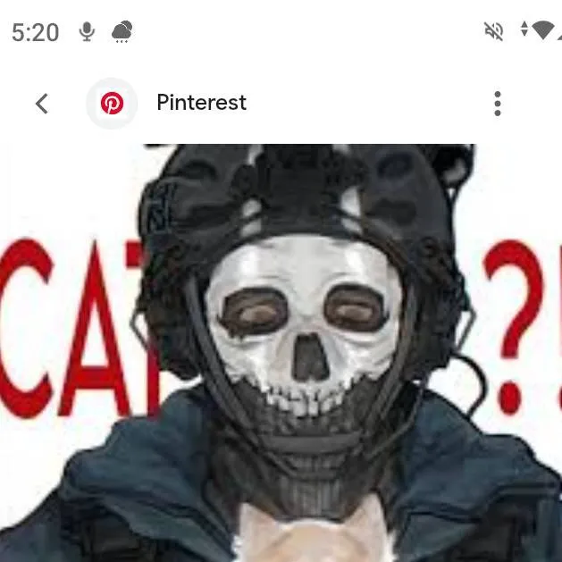 chat with ai character: ghost from cod