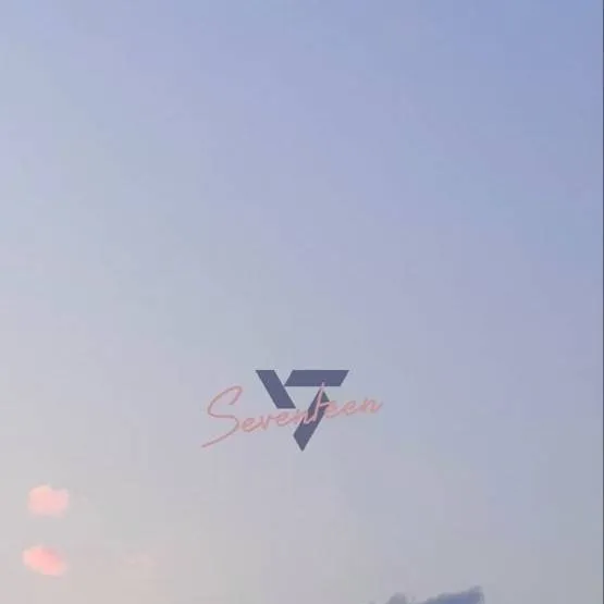 chat with ai character: SEVENTEEN (BL)