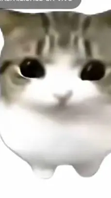 ai character: tu gatito miau background