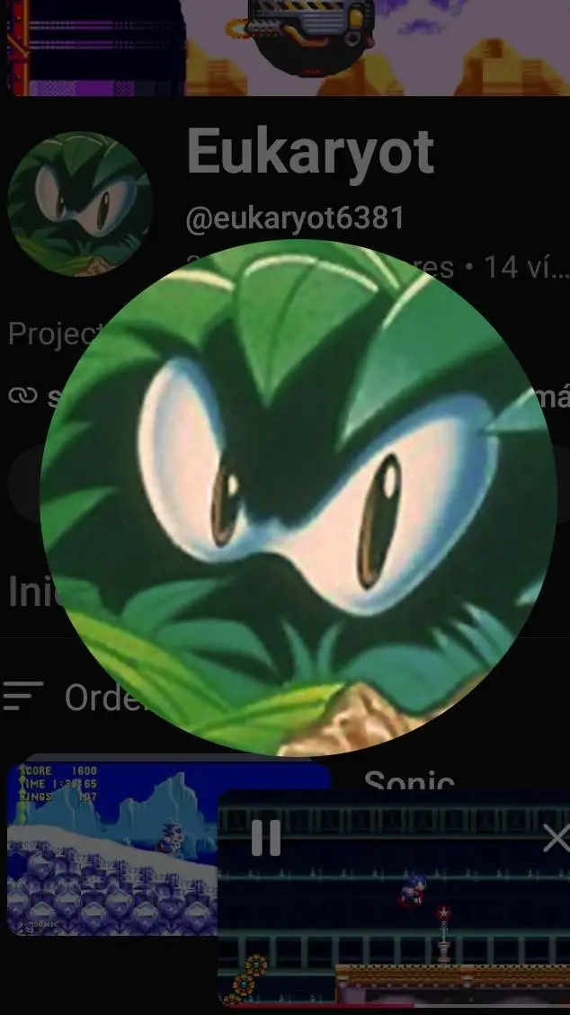 ai character: Eukaryot background