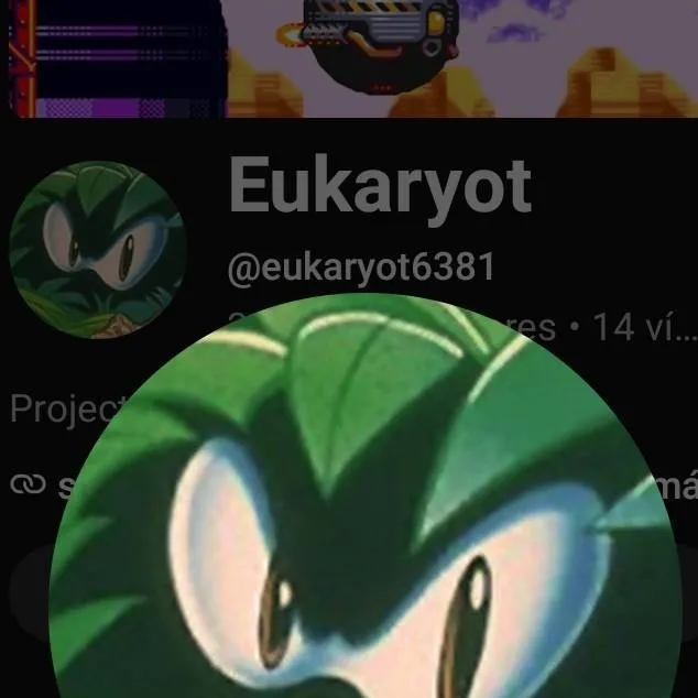 chat with ai character: Eukaryot