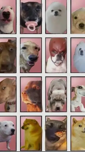 ai character: invincidog varient background