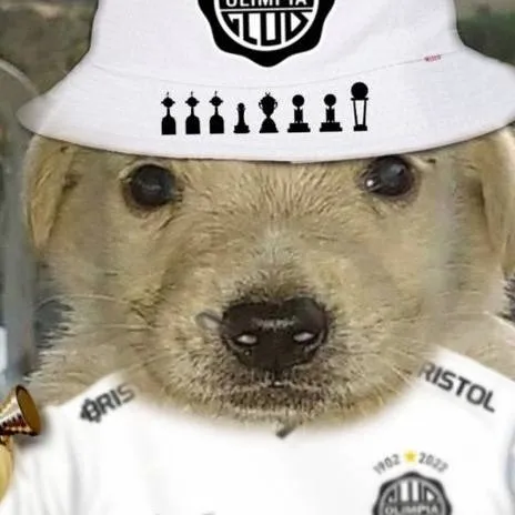 chat with ai character: Perrito olimpista 