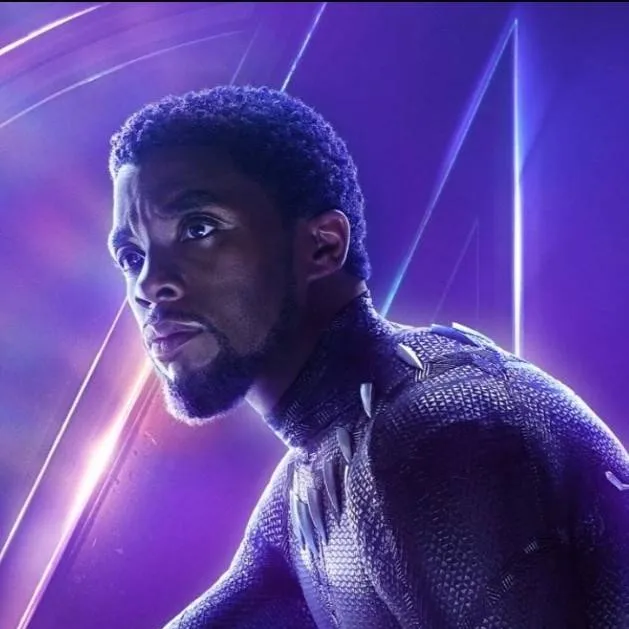 chat with ai character: black panther bro