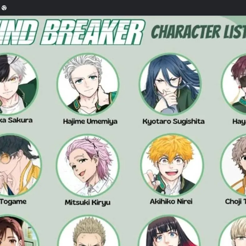chat with ai character: windbreaker