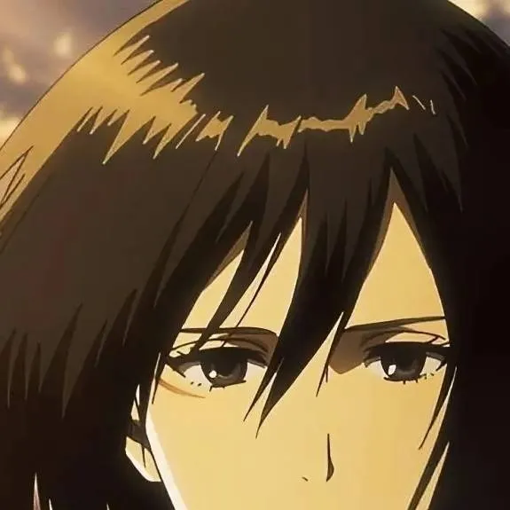 chat with ai character: Mikasa ackerman